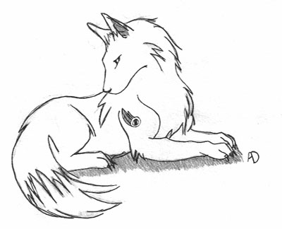 Wolf Drawing Pics