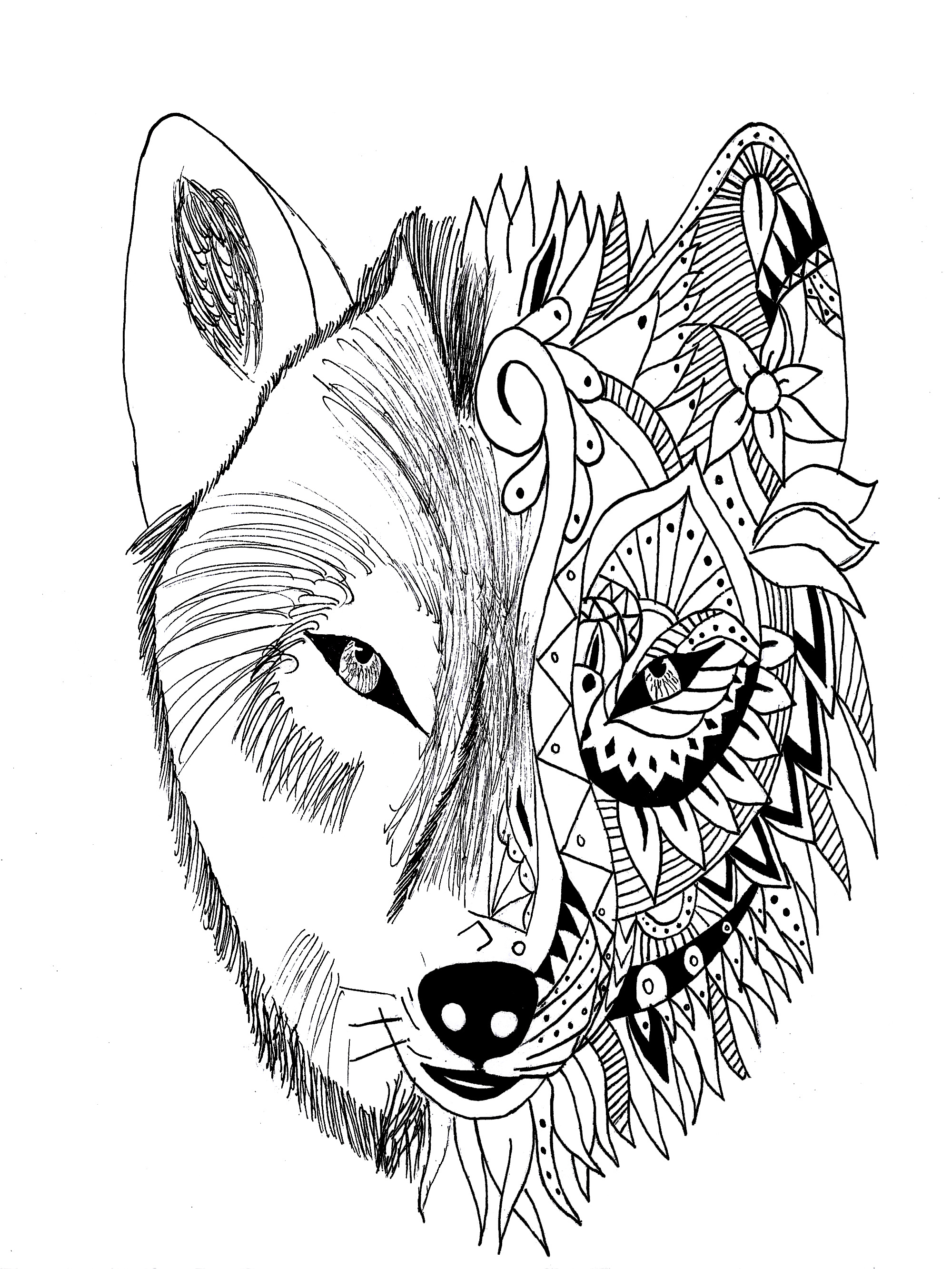 2000x2665 Wolf Coloring Pages For Older Kids Detailed In Fancy Draw Photo