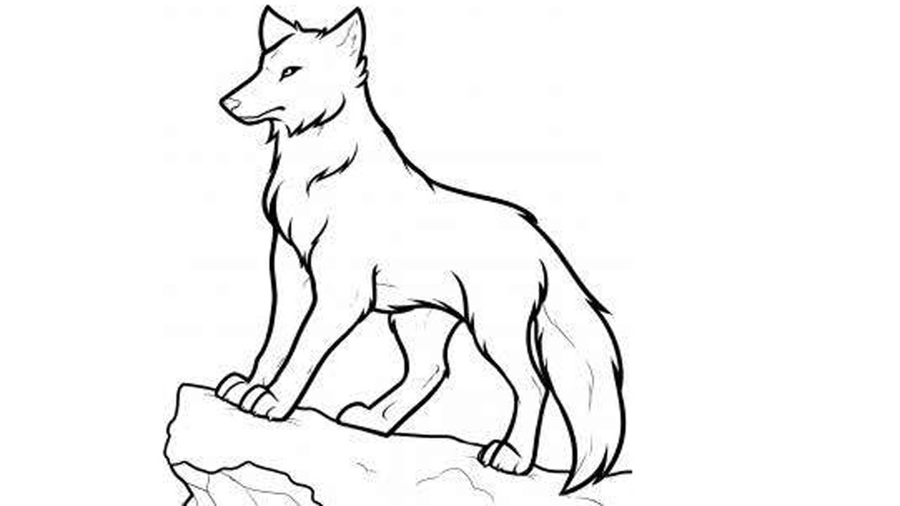 1280x720 How To Draw Wolf Step By Step Draw Wolf For Kids Draw