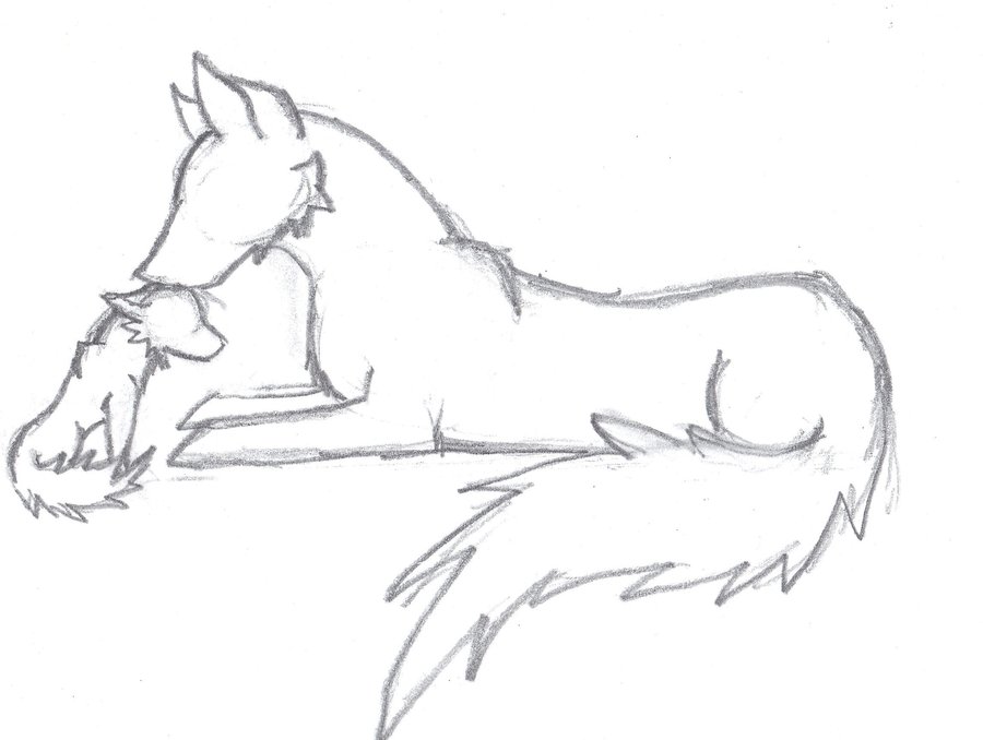 900x678 Drawn Wolf Basic