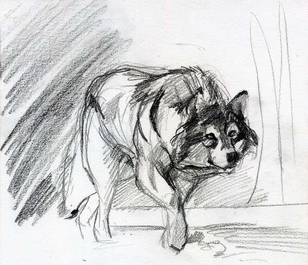 600x517 Easy Pencil Drawings On Tumblr