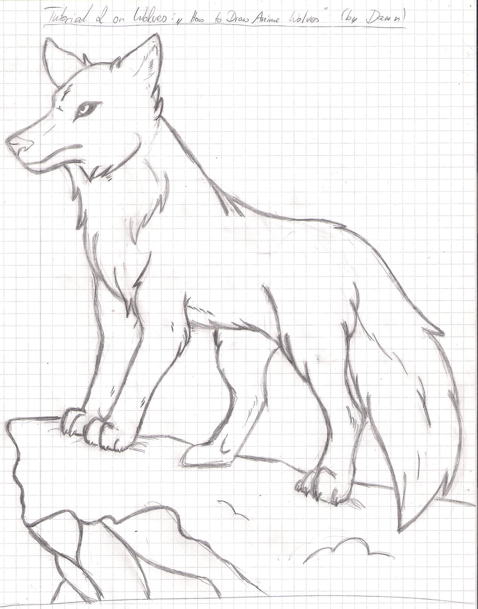 1555x1981 Easy Wolf Drawings Chainimage