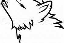 210x140 Wolf Easy To Draw Drawn Wolf Easy Pencil And In Color Drawn Wolf