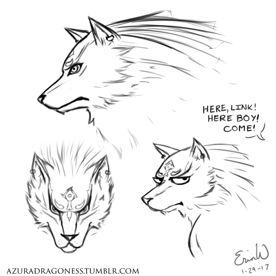 894x894 Wolf Link Sketches