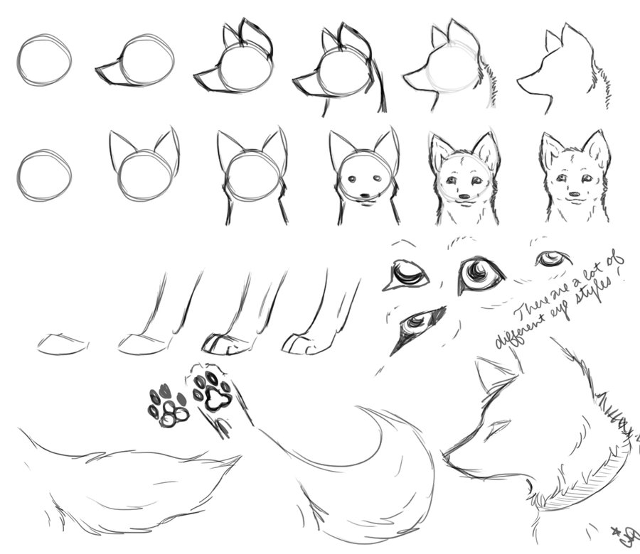 900x780 How To Draw Wolves Part 2 By Dogwolf129