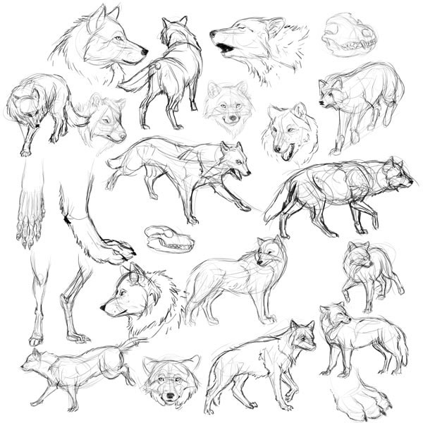 600x600 My Preparation Before Drawing A Werewolf