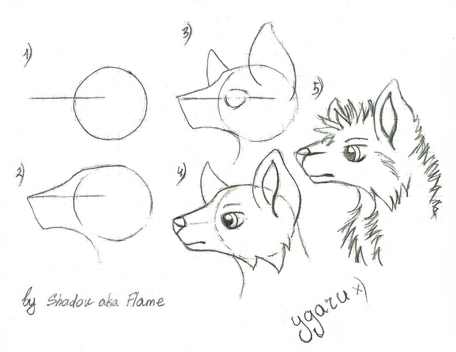 900x695 Tutorial Wolf By Shadow Twilight