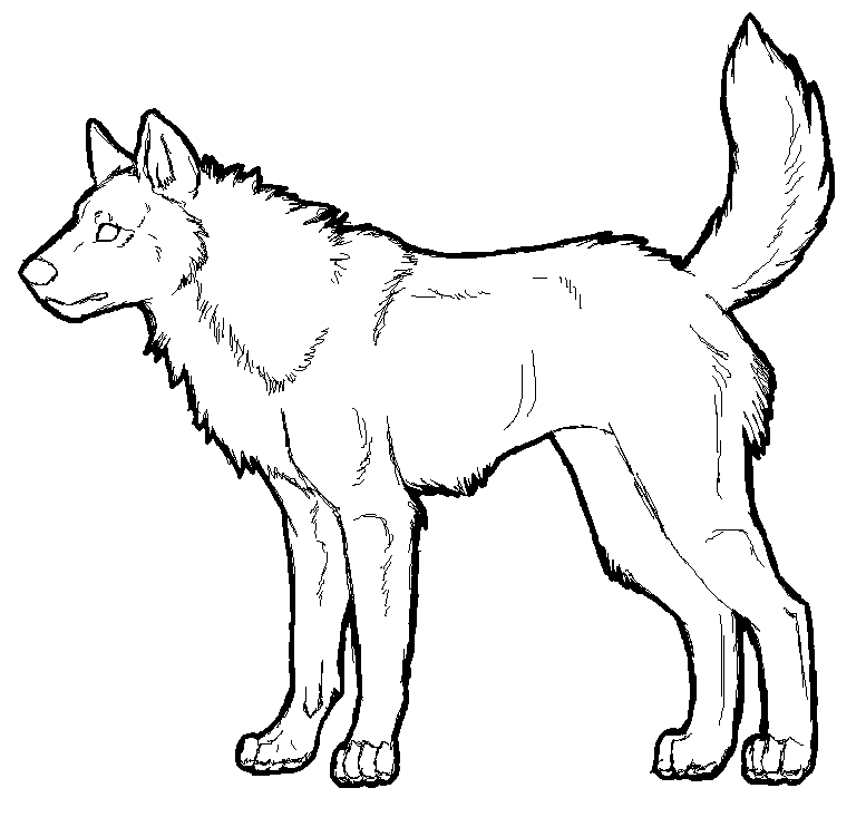 777x742 Wolf Tutorial Lineart By Demonic Pokeyfruit