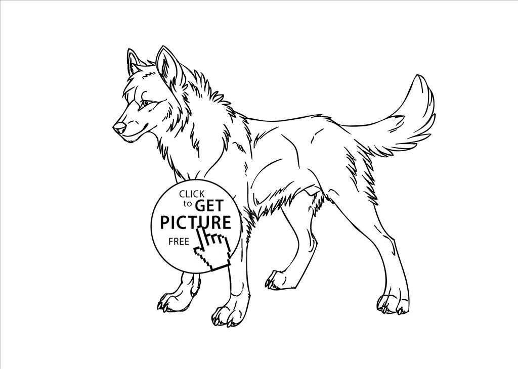 1024x730 Great Wolf Coloring Pages Picture Unknown Resolutions High