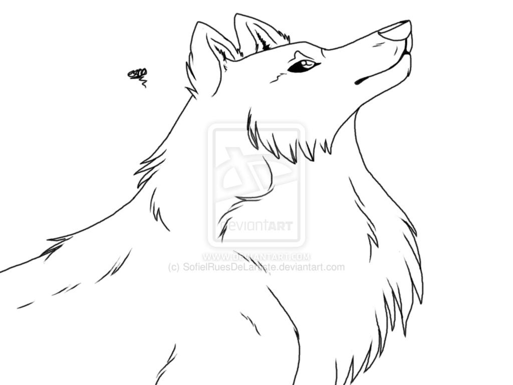 1024x768 Top Wolves Coloring Pages Graphic Unknown Resolutions High