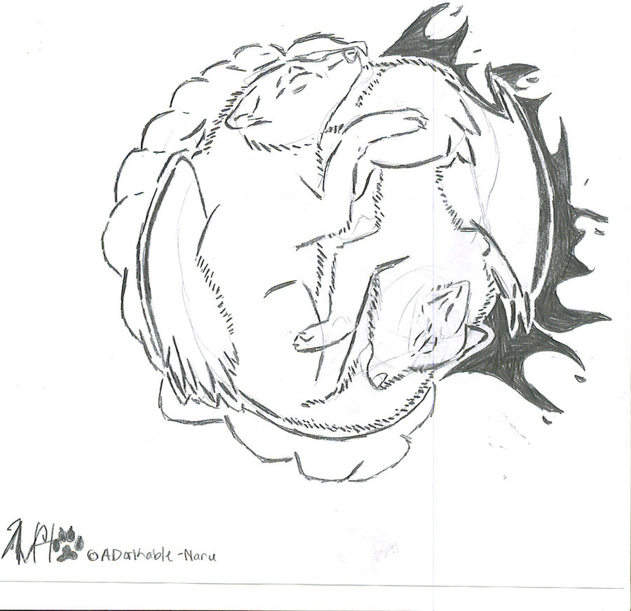 900x872 Tribal Wolf Tatto The Wings By Ablah