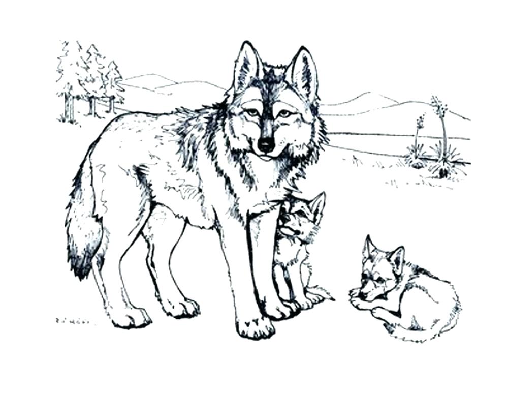 1000x773 Winged Wolf Coloring Pages Coloring Trend Medium Size Wolf