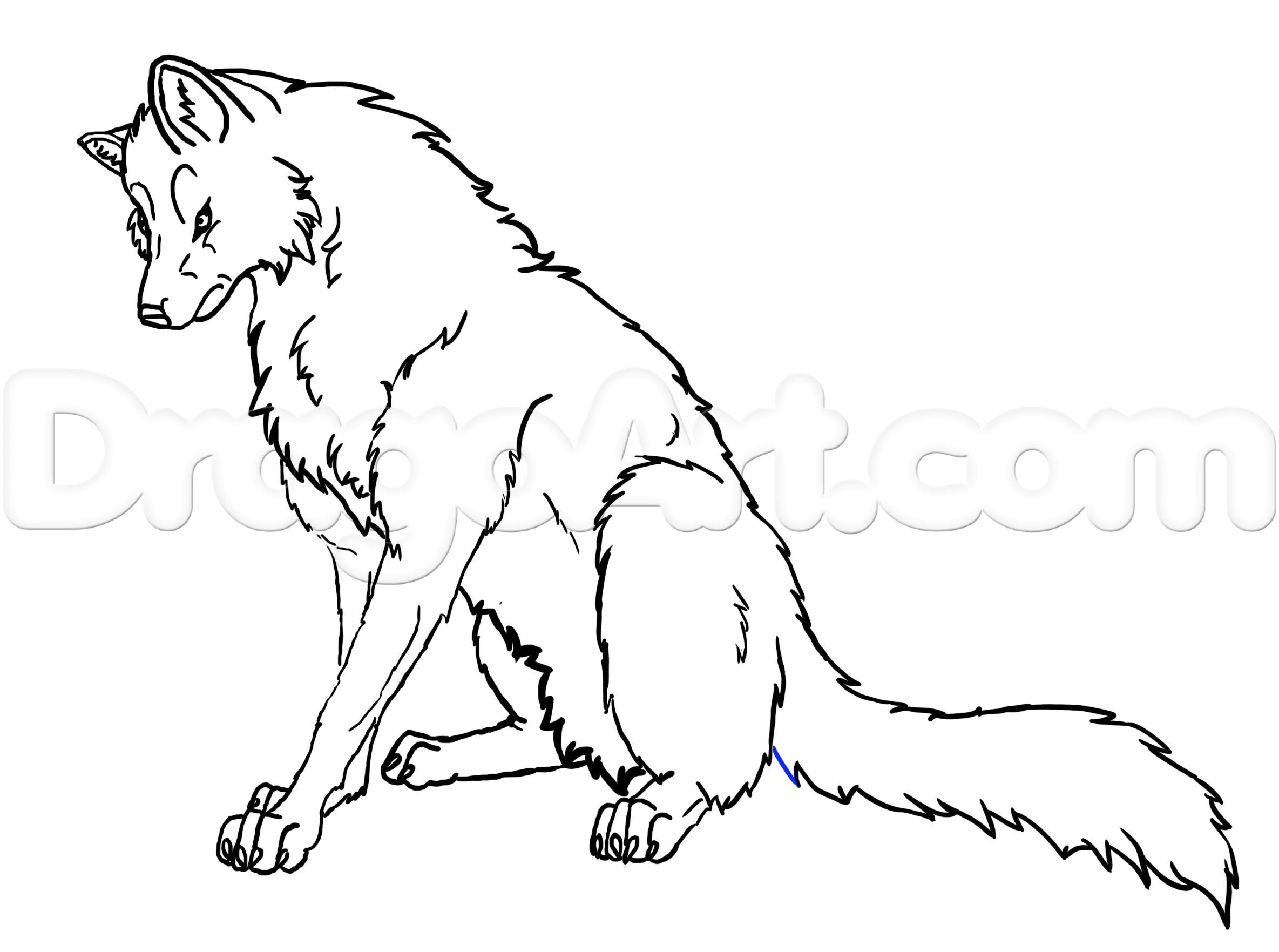 2369x1763 How To Draw A Howling Wolf Easy Step By Step Forest Animals