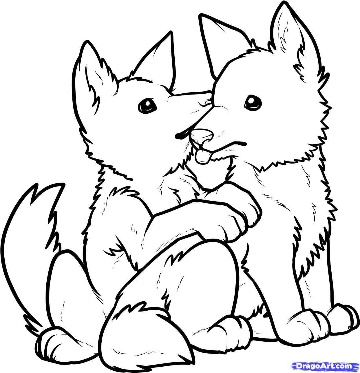 1243x1286 Step 12 How To Draw Wolf Pups Puppies A Puppy