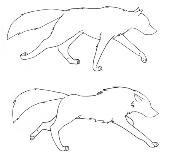 624x539 Two Wolves Running By Xxwhitewolfmelxx