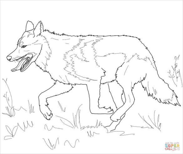 585x491 Wolf Drawing Free Printable Pdf, Jpeg Format Download