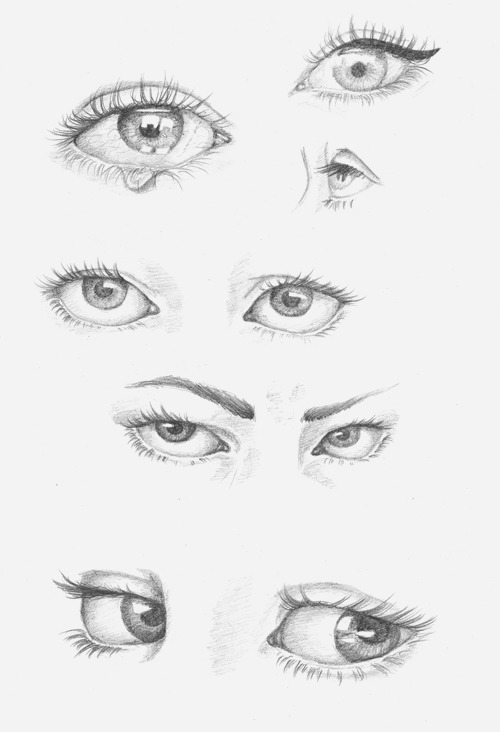 Wolf Eye Drawing at GetDrawings | Free download