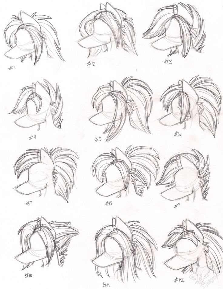 736x956 37 Best Furryanthro Tutorials Images On Drawing