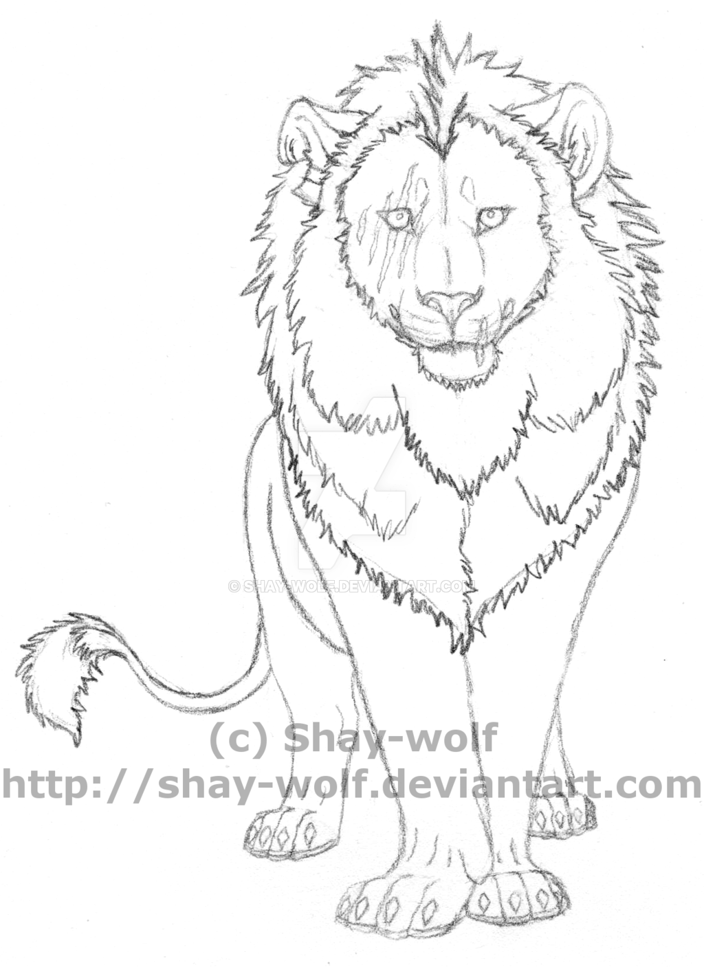 1024x1407 Shay Wolf's Gallery