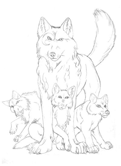 400x551 Elemental Wolves Sketch By Shines Bright Eyes