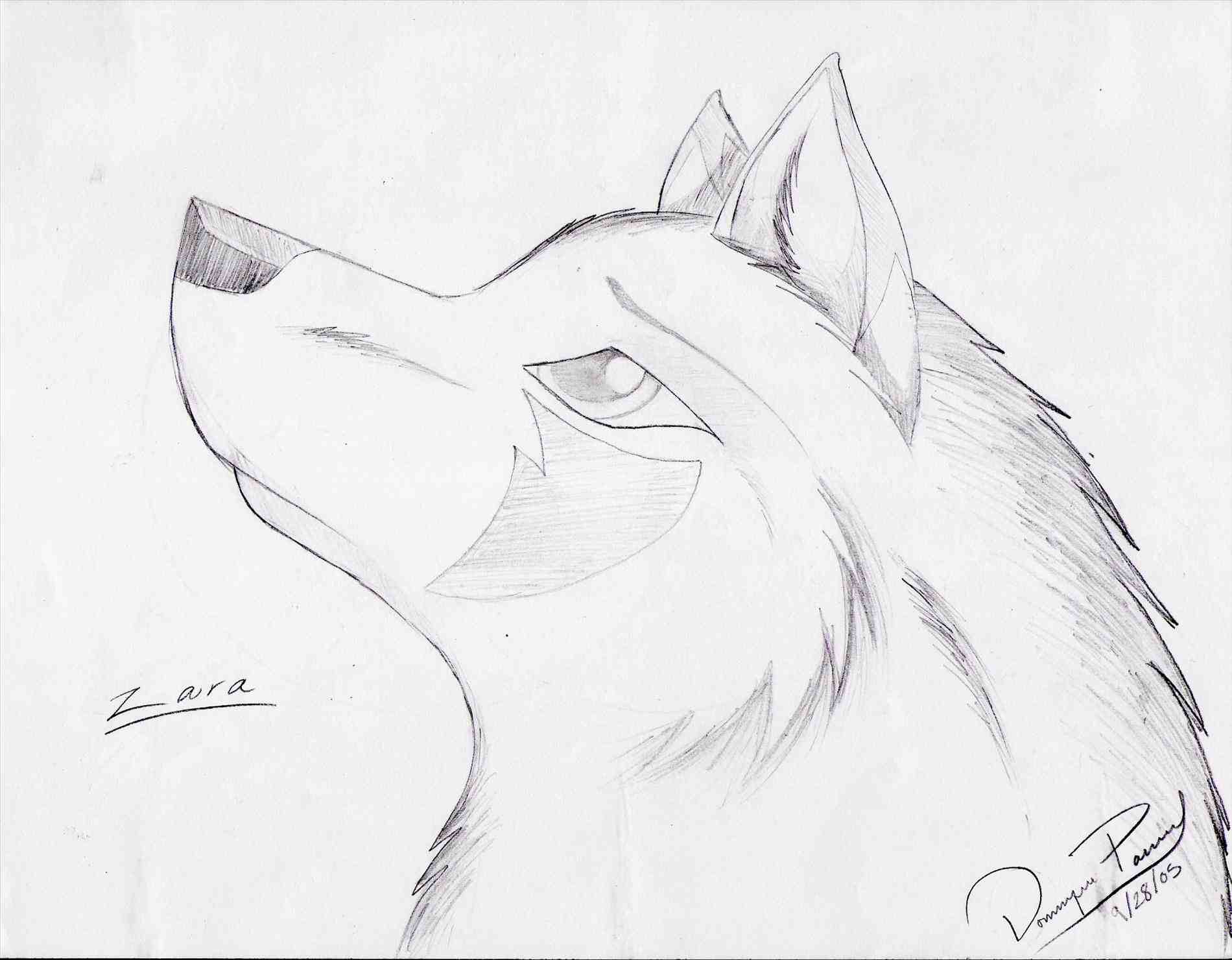 1900x1480 How To Draw An Angry Wolf Head