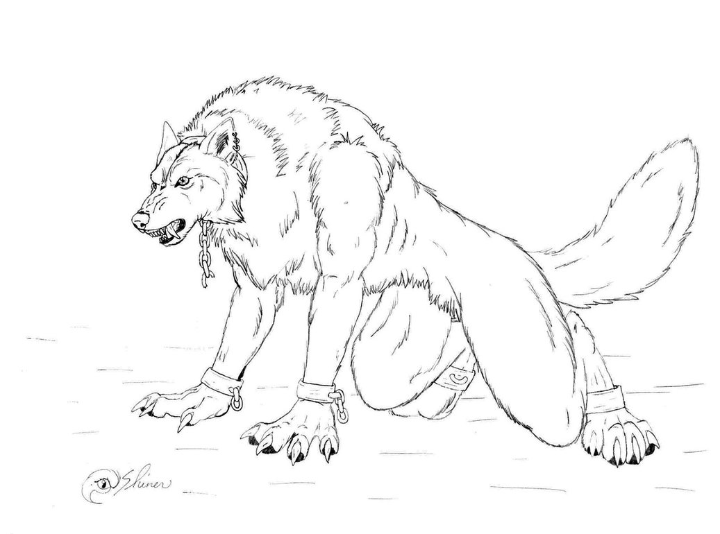 1037x770 Werewolf In Chains