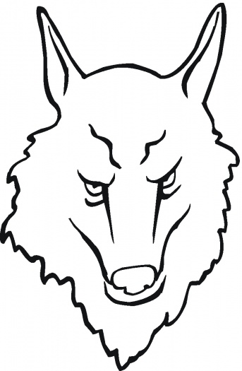 Wolf Face Drawing