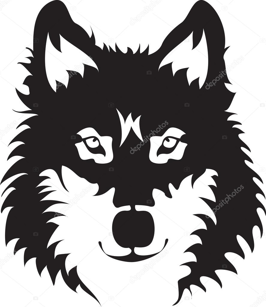 Wolf Face Drawing at GetDrawings | Free download