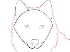 236x176 How To Draw A Wolf Wolf, Draw And Drawing Art