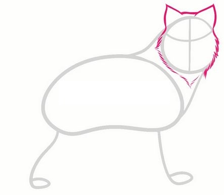 443x385 How To Draw A Wolf [Ferocious]