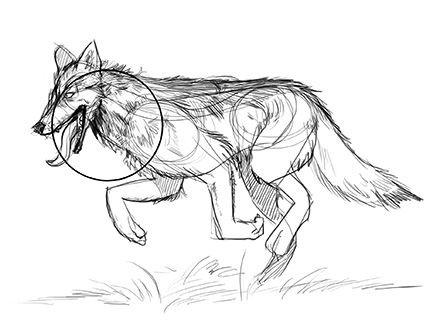 440x320 Lesson 5 Drawing Animals