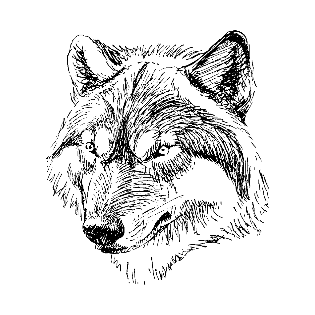 1024x1024 Wolf Face 199g