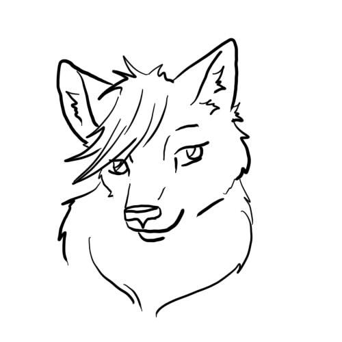 500x500 Wolf Face Animation Test By Whispermywolf