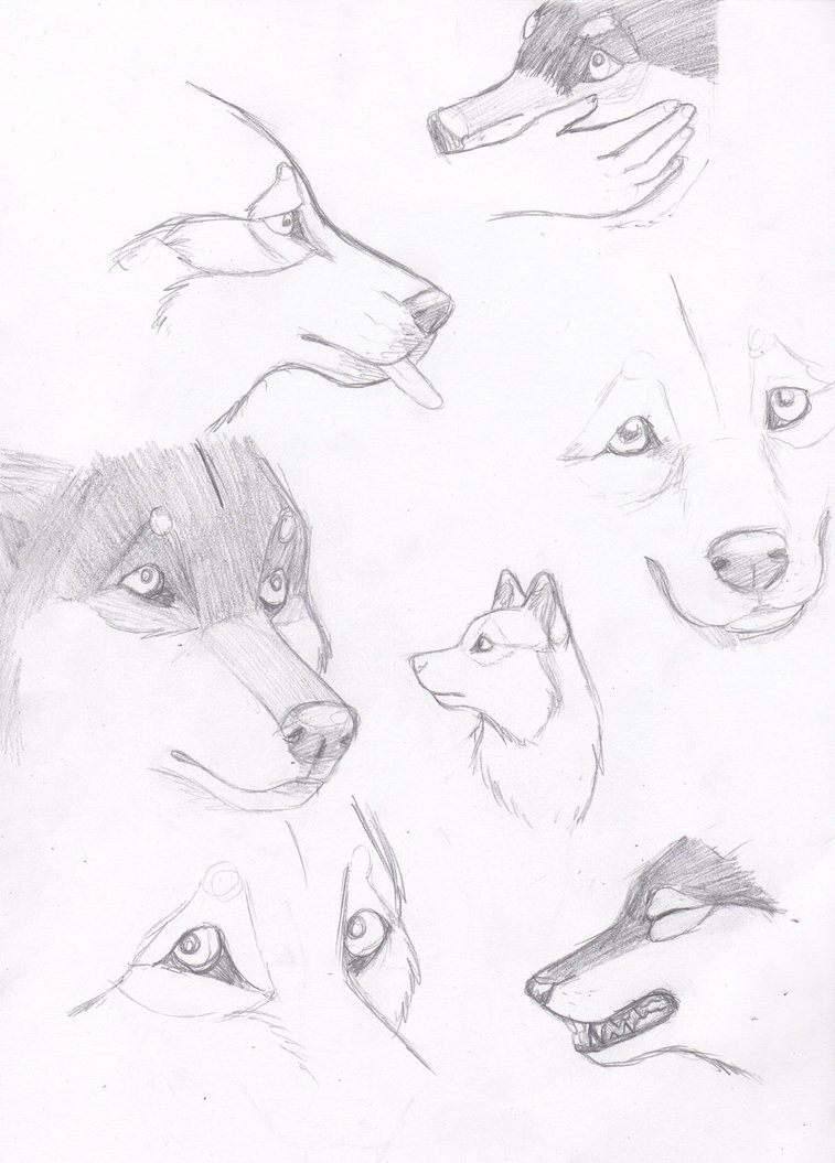 757x1055 Wolf Faces By Inumaru101