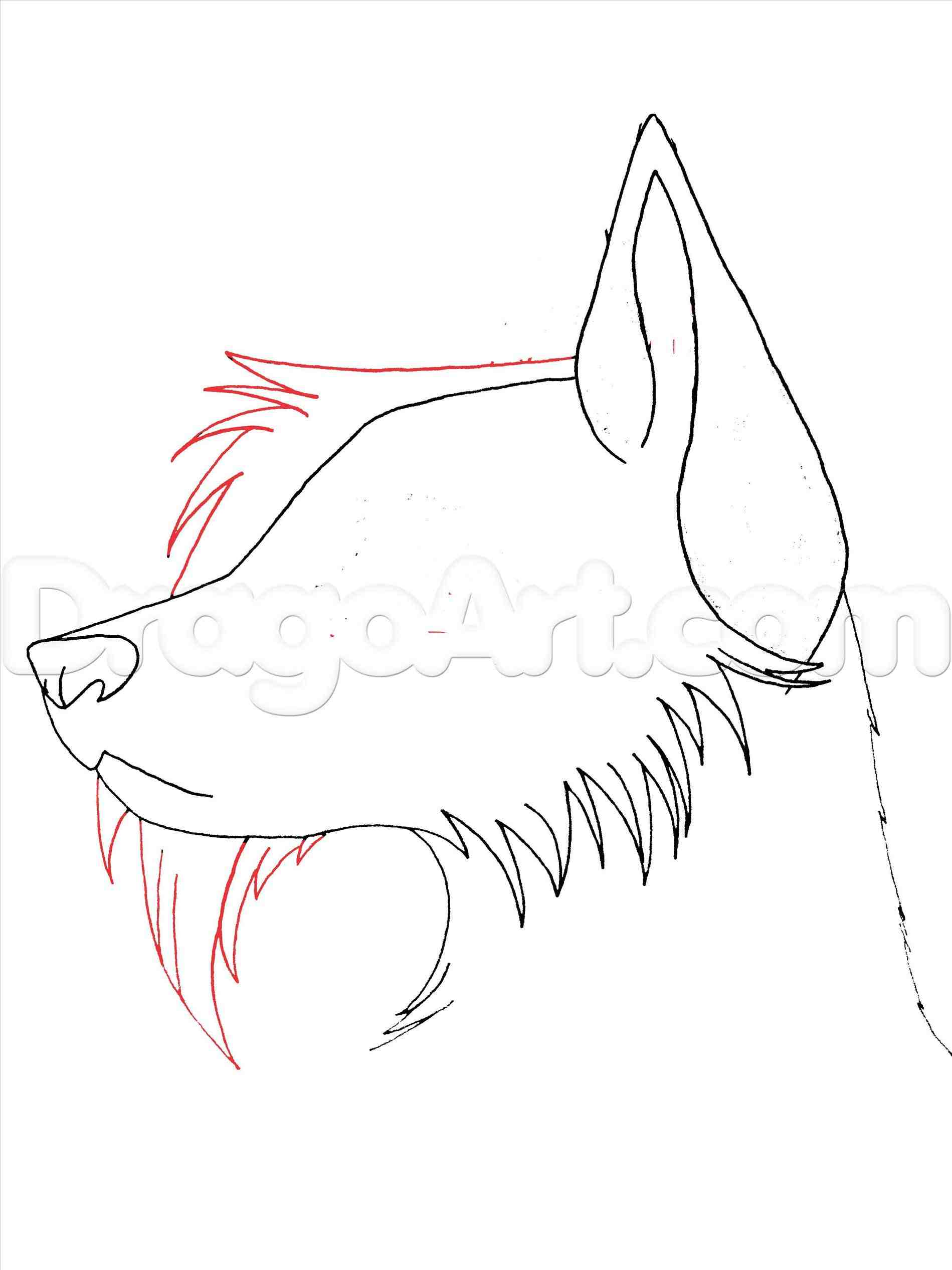 Wolf Faces Drawing at GetDrawings | Free download