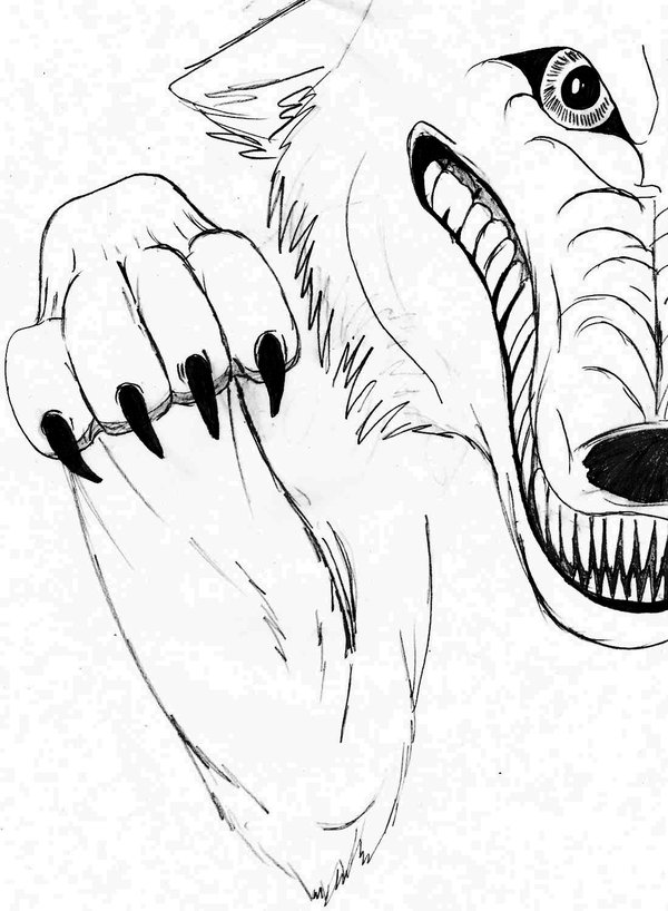 600x818 Drawing Of A Wolf Paw
