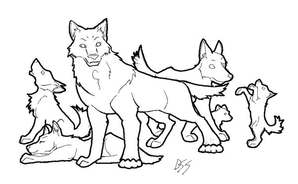 600x370 Wolf Pack Lineart