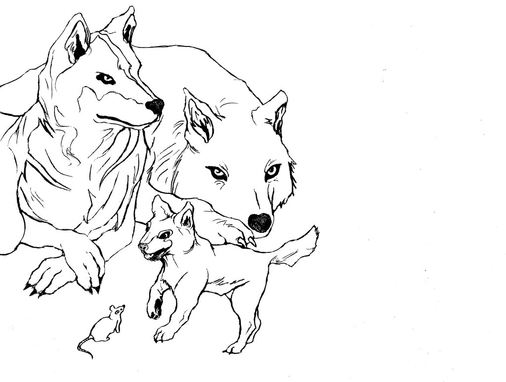 1024x773 Wolf Family