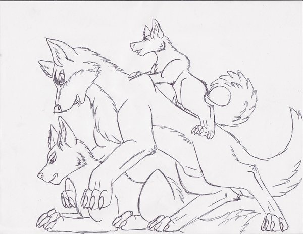 600x464 Wolf Family By Werewolf Koan