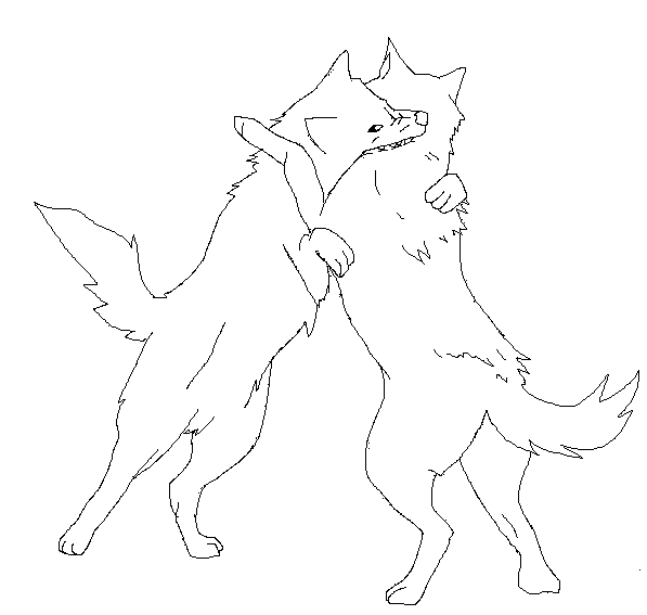 597x567 Fighting Wolves Lineart By Slaywolf