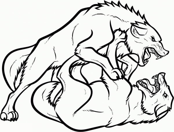 600x455 Wolf Coloring Pages Two Wolves Fighti On Wolves Coloring Sheets