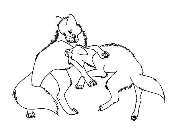 600x450 Wolf Fighting Coloring Page