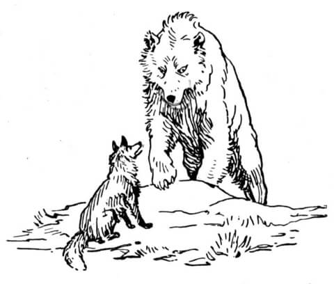 480x408 Bear And Wolf Coloring Page Free Printable Coloring Pages