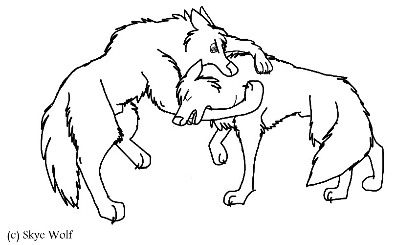 810x500 Fanart Skye Wolf