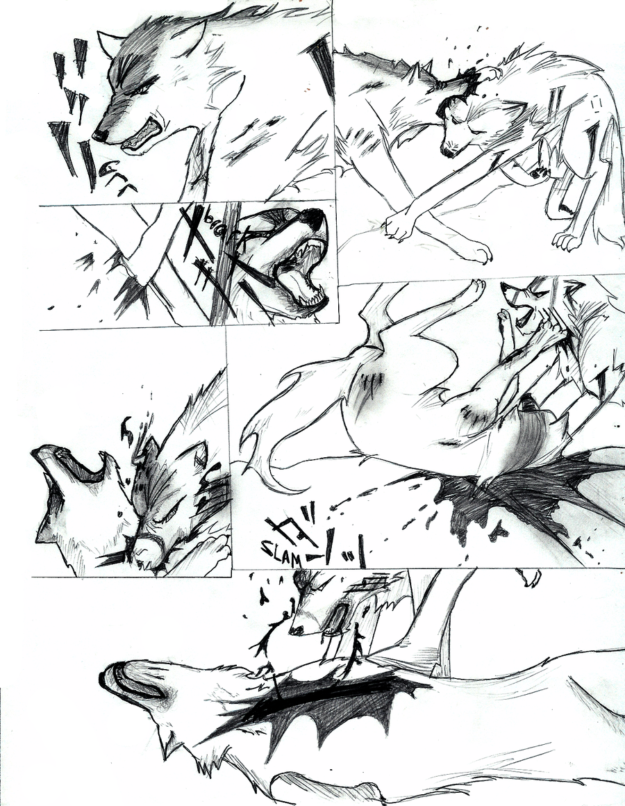 900x1160 Wolf Fight By Mara Elle