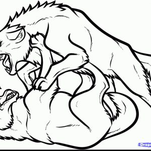 300x300 Wolf Fighting Coloring Pages Best Of Anime Wolf Pack Coloring
