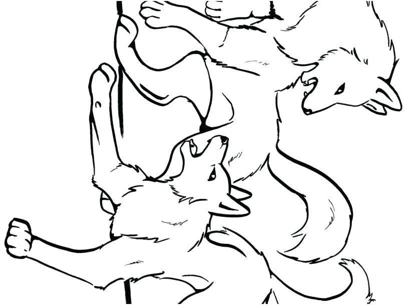 827x609 Wolf Pack Coloring Pages Free Printable Wolf Coloring Pages