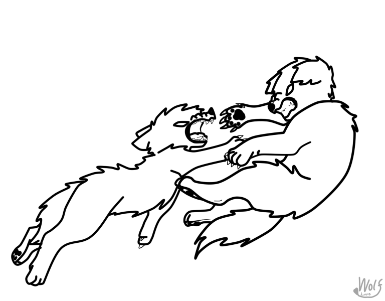 768x600 Wolves Fighting Base By Wolfylove12