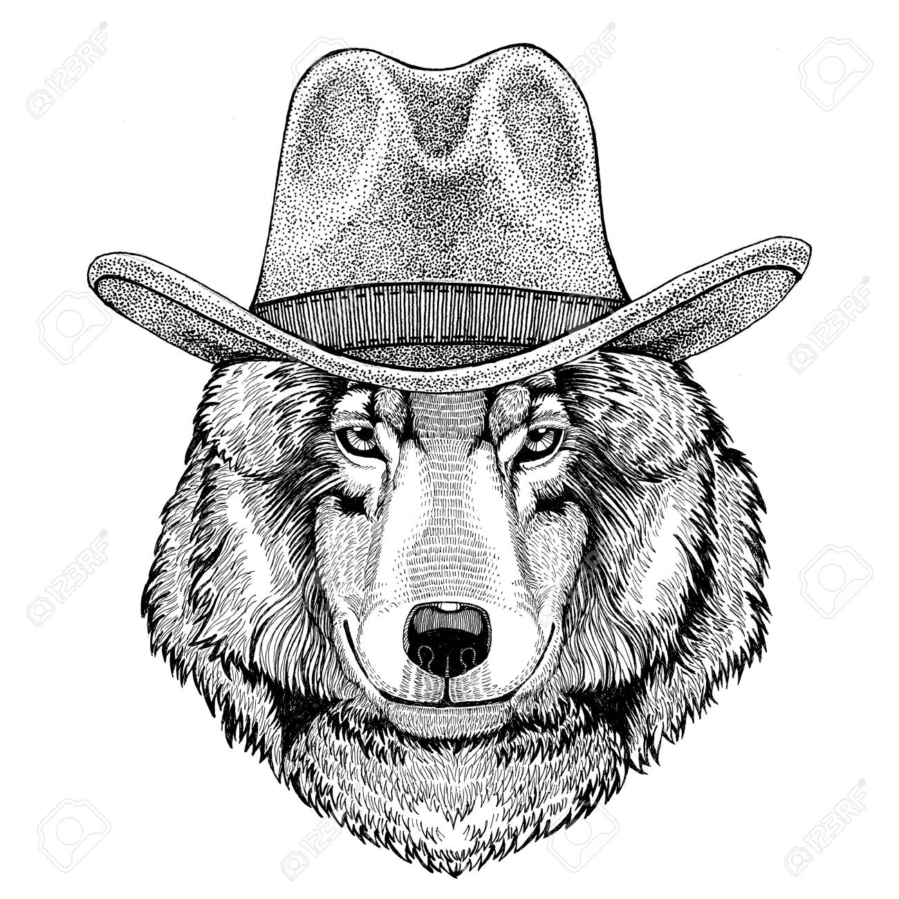 1300x1300 Wolf Dog Wild Animal Wearing Cowboy Hat Wild West Animal Cowboy
