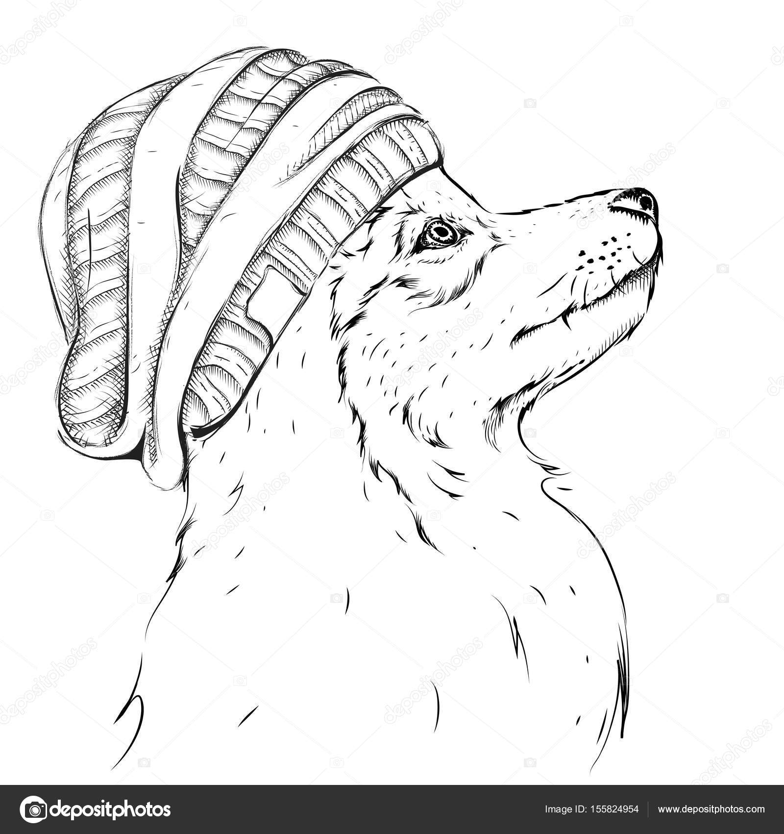 1600x1700 Wolf Portrait. Wolf In A Hat. Hand Draw Vector Illustration